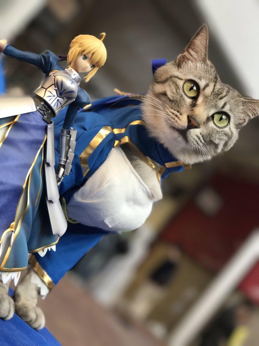 铲屎官你看我帅吗？《猫咪Cosplay漫游都-acg动漫网角色》太萌啦快来撸猫啊！