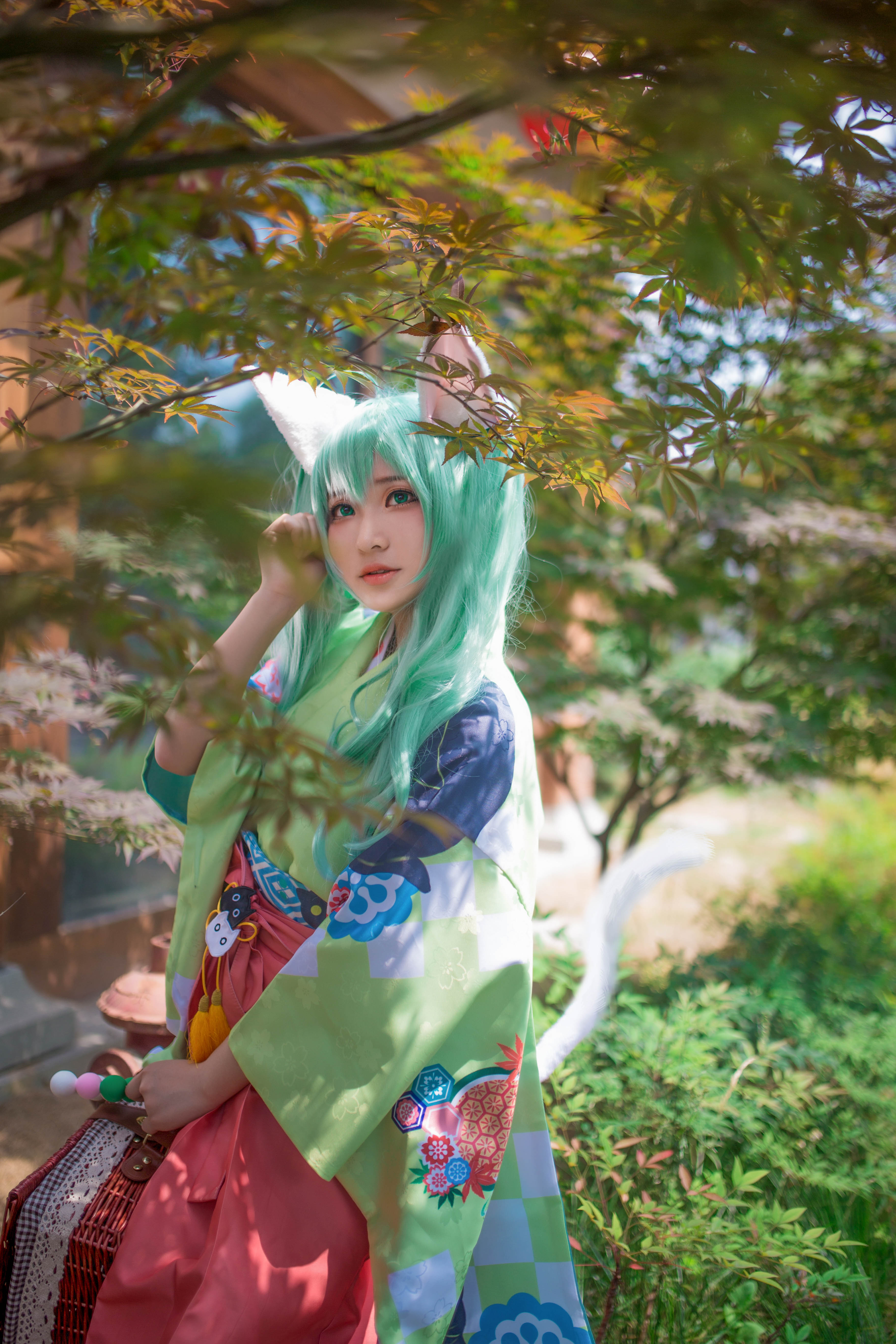 【Cosplay欣赏】VOCALOID 萌猫初音未来