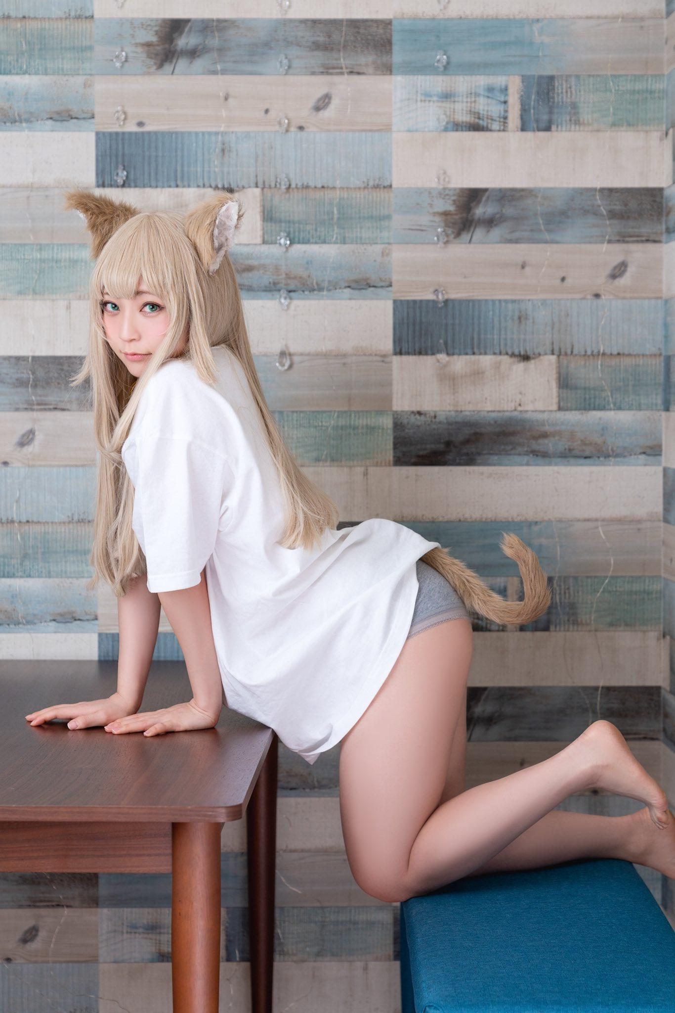 【Cosplay欣赏】40原老师的那只猫来了&#8230;《星乃まみ》超大份精选集！！